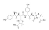 Amoxicillin Related Compound J (Amoxicillin EP Impurity J)