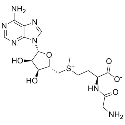Adenosine Related Compound 1
