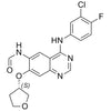 (S)-N-(4-((3-chloro-4-fluorophenyl)amino)-7-((tetrahydrofuran-3-yl)oxy)quinazolin-6-yl)formamide