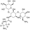 Amikacin-d5