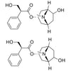 Atropine EP Impurity D and E (Mixture of 6-beta-Hydroxyhyoscyamine and 7-beta-Hydroxyhyoscyamine)