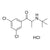 Bupropion Related Compound 2 HCl