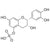 (-)-Epicatechin-5-Sulfate