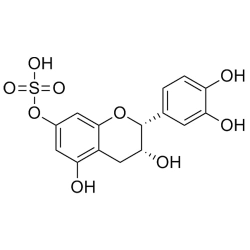 (-)-Epicatechin-7-Sulfate