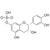 (-)-Epicatechin-7-Sulfate