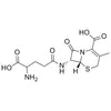 (6R,7R)-7-(4-amino-4-carboxybutanamido)-3-methyl-8-oxo-5-thia-1-azabicyclo[4.2.0]oct-2-ene-2-carboxylic acid