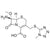 (6R,7S)-7-amino-7-methoxy-3-(((1-methyl-1H-tetrazol-5-yl)thio)methyl)-8-oxo-5-thia-1-azabicyclo[4.2.0]oct-2-ene-2-carboxylic acid