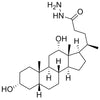 Hydrazine amide of deoxycholic acid