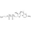 Cytidine Diphosphate Ethanolamine (CDPEA)
