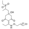 5-Hydroxy-Clethodim Sulfone