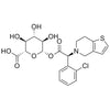 Clopidogrel Acyl-beta-D-Glucuronide