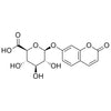 7-Hydroxycoumarin glucuronide