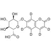 7-Hydroxycoumarin-d5 glucuronide