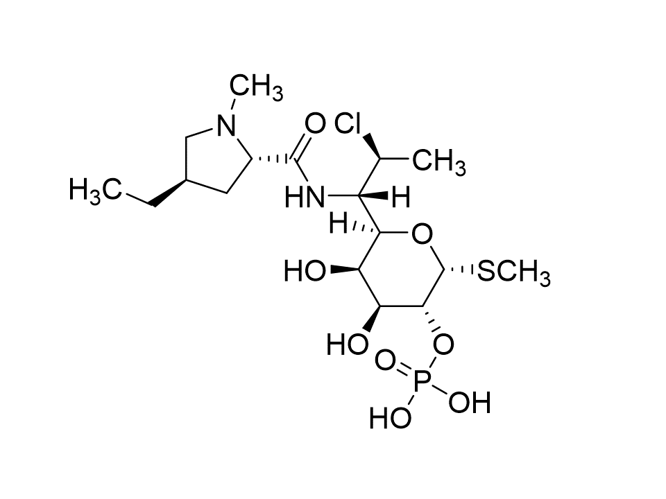 Clindamycin B 2-Phosphate