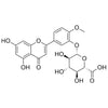 Diosmetin-3-O-Glucuronide