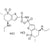 (4S,6S)-4-(ethylamino)-N-(((4S,6S)-4-(ethylamino)-6-methyl-7,7-dioxido-5,6-dihydro-4H-thieno[2,3-b]thiopyran-2-yl)sulfonyl)-6-methyl-5,6-dihydro-4H-thieno[2,3-b]thiopyran-2-sulfonamide 7,7-dioxide dihydrochloride