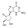 2-amino-9-((1S,3R,4S)-4-hydroxy-3-(hydroxymethyl)-2-oxocyclopentyl)-3H-purin-6(9H)-one