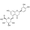 Eriodictyol-5-O-Glucuronide