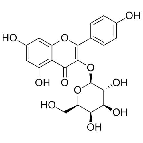 Kaempferol 3-O-Galactoside