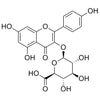 Kaempferol-3-Glucuronide