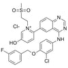 2-(4-((3-chloro-4-((3-fluorobenzyl)oxy)phenyl)amino)quinazolin-6-yl)-5-hydroxy-1-(2-(methylsulfonyl)ethyl)pyridin-1-iumchloride