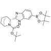 (1S,3R,4R)-tert-butyl3-(6-(4,4,5,5-tetramethyl-1,3,2-dioxaborolan-2-yl)-1H-benzo[d]imidazol-2-yl)-2-azabicyclo[2.2.1]heptane-2-carboxylate