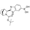 (2-((1R,3S,4S)-2-(tert-butoxycarbonyl)-2-azabicyclo[2.2.1]heptan-3-yl)-1H-benzo[d]imidazol-6-yl)boronicacid
