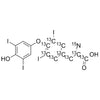 Levothyroxine-13C9-15N