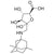 Memantine Glucuronic Acid Conjugate (Furanose Form)