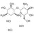 Paromamine TriHCl (Neomycin Sulfate EP Impurity D TriHCl)
