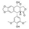 (5R,5aR,8aR,9R)-9-hydroxy-5-(4-hydroxy-3,5-dimethoxyphenyl)-5,5a,8a,9-tetrahydrofuro[3',4':6,7]naphtho[2,3-d][1,3]dioxol-6(8H)-one