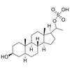 5α-pregnan-3β, 20β-diol-20-sulphate