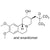 alpha-Hydroxy Tetrabenazine-d7 (trans-Dihydro Tetrabenazine-d7)