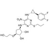 (1S,2S,3R,5S)-3-((6-(((1R,2S)-2-(3,4-difluorophenyl)cyclopropyl)amino)-5-nitro-2-(propylthio)pyrimidin-4-yl)amino)-5-(2-hydroxyethoxy)cyclopentane-1,2-diol