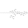 UDP-3-O[R-3-Hydroxymyristoyl]-N-Acetylglucosamine Tris Salt