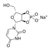 Uridine-2’,3’-cyclic Monophosphate Sodium Salt