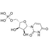 L-Uridine-5'-Monophosphoric Acid